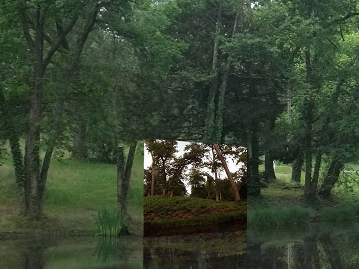 Landes sans Fin (Michel Herreria)